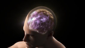 human man transparent head skull shows brain cerebral neural activity electrical signal transmission waves in purple glow light black background top view male 3D anatomical model visualization